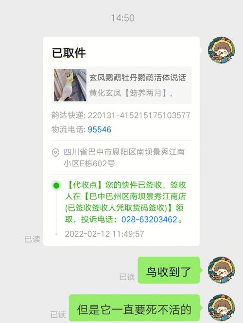 拼多多50块买个鱼竿仅退款被一堆人逮着嘲讽 互联通信 拼多多50块买个鱼竿仅退款被一堆人逮着嘲讽 拼多多50块买个鱼竿仅退款被一堆人逮着嘲讽 互联通信