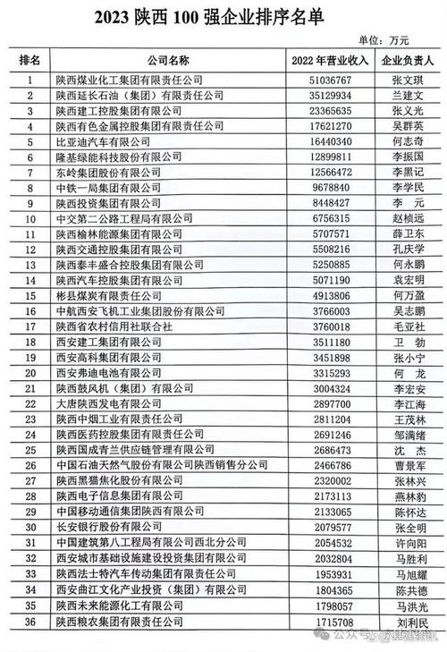 2022陕西100强企业排序陕西电子信息集团有限公司 互联通信 2022陕西100强企业排序陕西电子信息集团有限公司 2022陕西100强企业排序陕西电子信息集团有限公司 互联通信