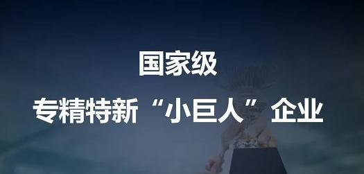 从行业“小透明”到“小巨人”这家企业做对了啥? 人工智能 从行业“小透明”到“小巨人”这家企业做对了啥? 从行业“小透明”到“小巨人”这家企业做对了啥? 人工智能
