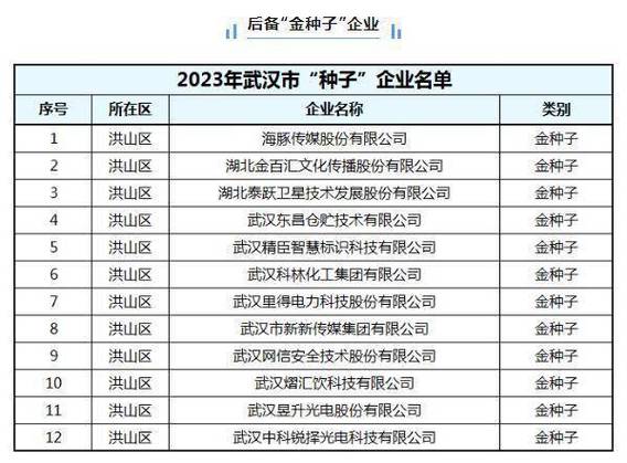 市级“金种子”“银种子”名单出炉洪山区入选12家 人工智能 市级“金种子”“银种子”名单出炉洪山区入选12家 市级“金种子”“银种子”名单出炉洪山区入选12家 人工智能