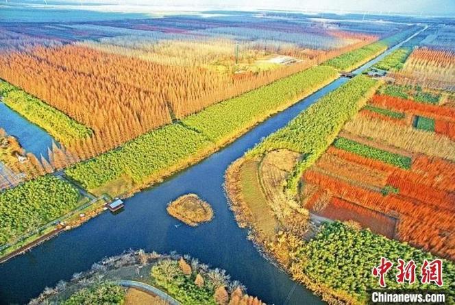 数据|盐城进入了一个世界级的“群”滨海湿地“秒成样板” 人工智能 数据|盐城进入了一个世界级的“群”滨海湿地“秒成样板” 数据|盐城进入了一个世界级的“群”滨海湿地“秒成样板” 人工智能