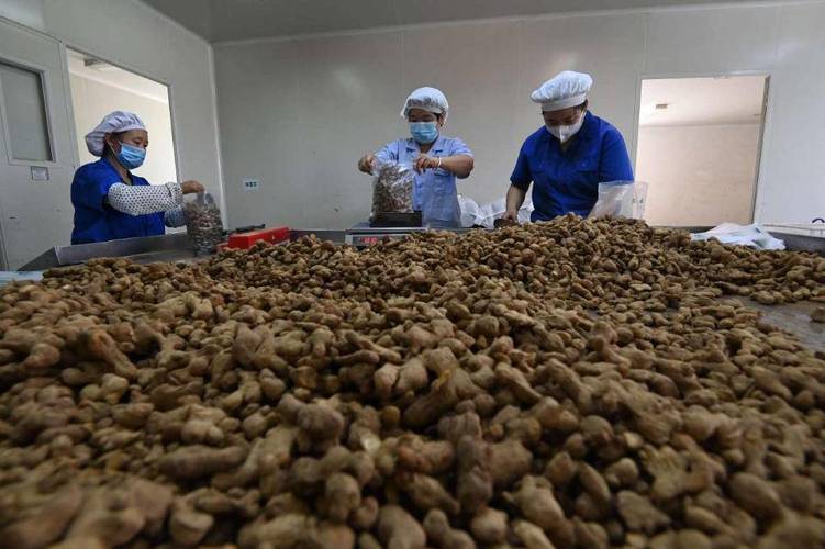 年产值近百亿元青州传承中医药国粹打造新经济增长点 人工智能 年产值近百亿元青州传承中医药国粹打造新经济增长点 年产值近百亿元青州传承中医药国粹打造新经济增长点 人工智能