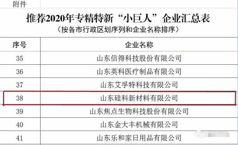 金乡4家企业入选省第八批“专精特新”中小企业名单 金乡4家企业入选省第八批“专精特新”中小企业名单 人工智能