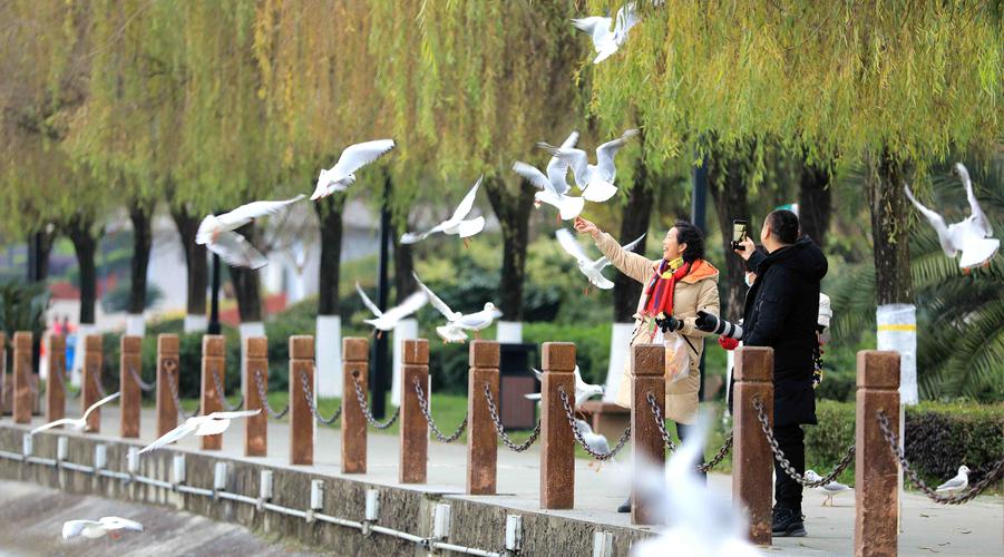 @汉中人宁神!物资充足 !网高下单办法→ 互联通信 @汉中人宁神!物资充足 !网高下单办法→ @汉中人宁神!物资充足 !网高下单办法→ 互联通信