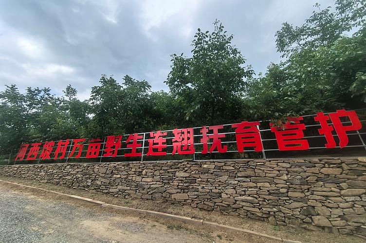 生态为先农旅融合 武汉蔡甸打造特色文旅“咭片” 人工智能 生态为先农旅融合 武汉蔡甸打造特色文旅“咭片” 生态为先农旅融合 武汉蔡甸打造特色文旅“咭片” 人工智能
