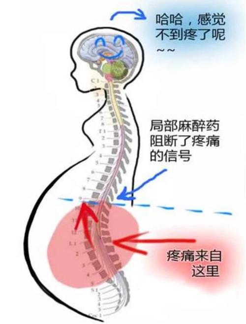 长盈周详取得方形电池壳体全自动分娩设备专利大年夜大年夜提高了电池壳的分娩效率 智能科技 长盈周详取得方形电池壳体全自动分娩设备专利大年夜大年夜提高了电池壳的分娩效率 长盈周详取得方形电池壳体全自动分娩设备专利大年夜大年夜提高了电池壳的分娩效率 智能科技