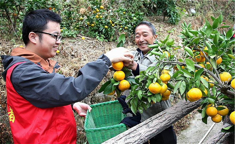 2022黄山歙县公开招聘大年夜学生村级工作者50人通知书记 智能家居 2022黄山歙县公开招聘大年夜学生村级工作者50人通知书记 2022黄山歙县公开招聘大年夜学生村级工作者50人通知书记 智能家居