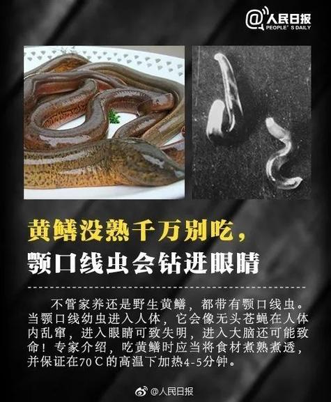 紧急提醒!广东多地已泛滥体内寄生虫多达数千条严重可致命 人工智能 紧急提醒!广东多地已泛滥体内寄生虫多达数千条严重可致命 紧急提醒!广东多地已泛滥体内寄生虫多达数千条严重可致命 人工智能