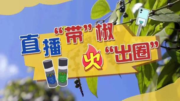 海南企业打造胡椒专业直播间年发卖额达871万元 智能科技 海南企业打造胡椒专业直播间年发卖额达871万元 海南企业打造胡椒专业直播间年发卖额达871万元 智能科技