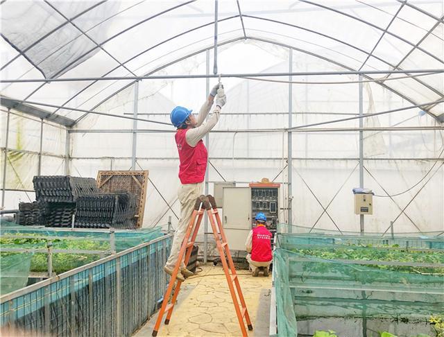 养鳝模式新 聪慧电“点金”无锡供电“牵手”物联网 赋能村落电气化改造 人工智能 养鳝模式新 聪慧电“点金”无锡供电“牵手”物联网 赋能村落电气化改造 养鳝模式新 聪慧电“点金”无锡供电“牵手”物联网 赋能村落电气化改造 人工智能