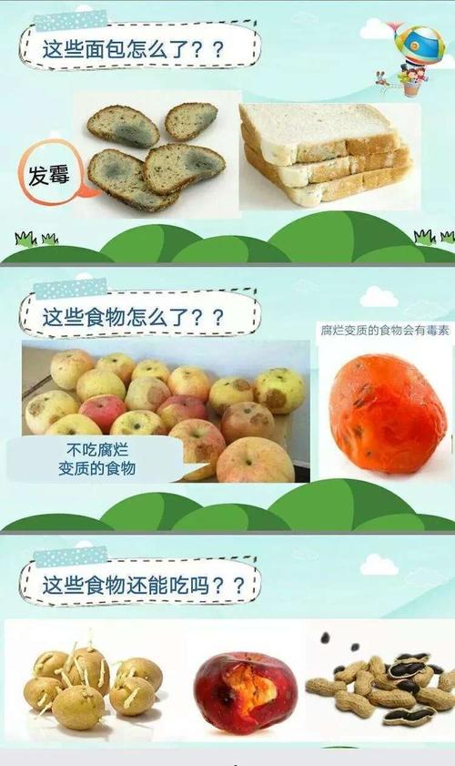这几种食物没有“保质期”别再傻傻丧失落了 人工智能 这几种食物没有“保质期”别再傻傻丧失落了 这几种食物没有“保质期”别再傻傻丧失落了 人工智能