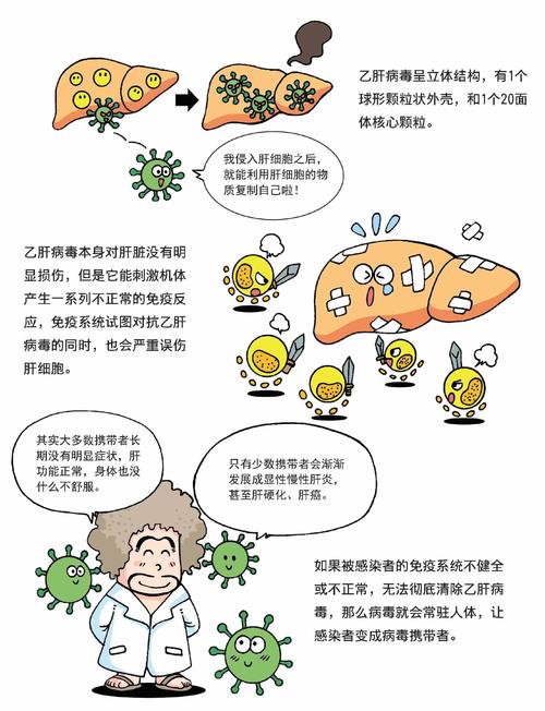 科普:乙肝病毒是若何具体导致人罹患肝炎和肝硬化的? 智能科技 科普:乙肝病毒是若何具体导致人罹患肝炎和肝硬化的? 科普:乙肝病毒是若何具体导致人罹患肝炎和肝硬化的? 智能科技