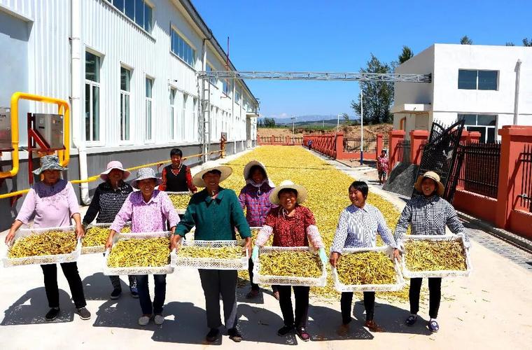 辛巴与辛选深耕公益递温度临潼区举办“科技兴农甜桃采摘活动 人工智能 辛巴与辛选深耕公益递温度临潼区举办“科技兴农甜桃采摘活动 辛巴与辛选深耕公益递温度临潼区举办“科技兴农甜桃采摘活动 人工智能
