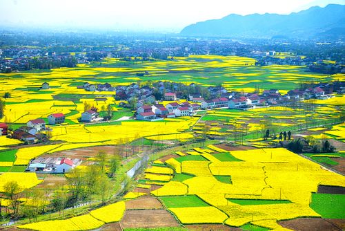 城固:特色家当已成为县域经济成长的“引擎” 智能家居 城固:特色家当已成为县域经济成长的“引擎” 城固:特色家当已成为县域经济成长的“引擎” 智能家居