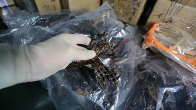 佛山一进境快件申报名为“芒果干”实为袋鼠肉!已被海关截留 智能家居 佛山一进境快件申报名为“芒果干”实为袋鼠肉!已被海关截留 佛山一进境快件申报名为“芒果干”实为袋鼠肉!已被海关截留 智能家居