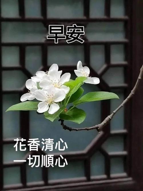 在这个科技与情感交织的时代 互联通信 在这个科技与情感交织的时代 在这个科技与情感交织的时代 互联通信