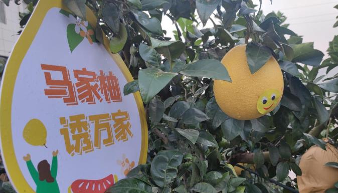 双一号工程的上饶探索:“一辆车”引领无人驾驶“一个柚子”身价倍涨 智能家居 双一号工程的上饶探索:“一辆车”引领无人驾驶“一个柚子”身价倍涨 双一号工程的上饶探索:“一辆车”引领无人驾驶“一个柚子”身价倍涨 智能家居