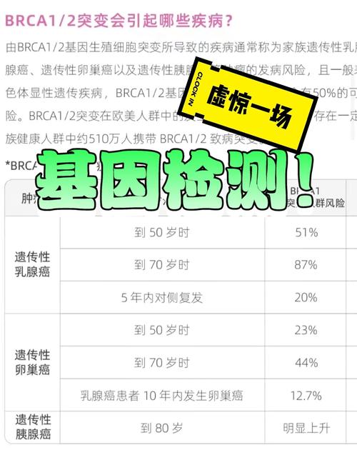 基因检测全解:从两大年夜用途谈卵巢癌不合基因的治疗意义 人工智能 基因检测全解:从两大年夜用途谈卵巢癌不合基因的治疗意义 基因检测全解:从两大年夜用途谈卵巢癌不合基因的治疗意义 人工智能