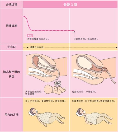 一文读懂战机研制分娩流程 互联通信 一文读懂战机研制分娩流程 一文读懂战机研制分娩流程 互联通信