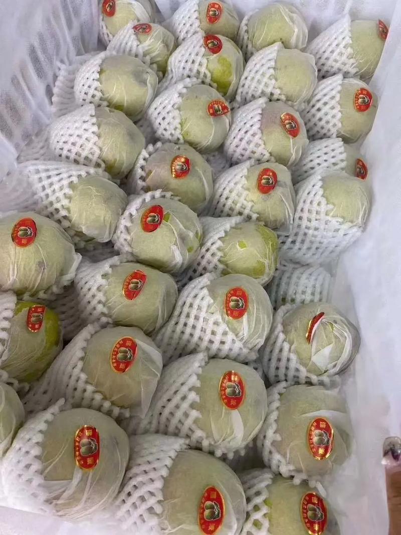 15日内无前提退换!在常州620家“诚信店”购买保健食物后可“反悔”2024-07-03 08:45 互联通信 15日内无前提退换!在常州620家“诚信店”购买保健食物后可“反悔”2024-07-03 08:45 15日内无前提退换!在常州620家“诚信店”购买保健食物后可“反悔”2024-07-03 08:45 互联通信