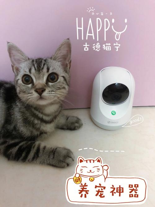 宠物也科技:七大年夜电子产品博爱宠欢心 互联通信 宠物也科技:七大年夜电子产品博爱宠欢心 宠物也科技:七大年夜电子产品博爱宠欢心 互联通信