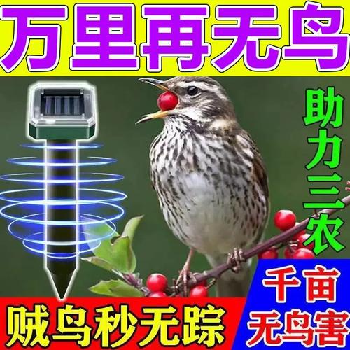 2022年12种家庭范围内最有效的驱赶鸟类对象 人工智能 2022年12种家庭范围内最有效的驱赶鸟类对象 2022年12种家庭范围内最有效的驱赶鸟类对象 人工智能