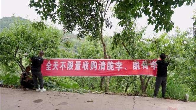 徐州:电商新业态联动发卖新模式 助力农产品触网“逢春” 互联通信 徐州:电商新业态联动发卖新模式 助力农产品触网“逢春” 徐州:电商新业态联动发卖新模式 助力农产品触网“逢春” 互联通信
