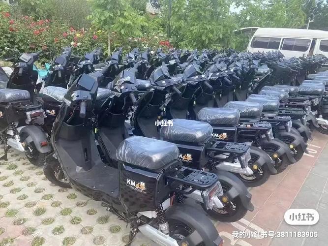 只求速度失落臂隐患!改装电动自行车1.5万元起卖买的多是年轻人或外卖骑手 智能科技 只求速度失落臂隐患!改装电动自行车1.5万元起卖买的多是年轻人或外卖骑手 只求速度失落臂隐患!改装电动自行车1.5万元起卖买的多是年轻人或外卖骑手 智能科技