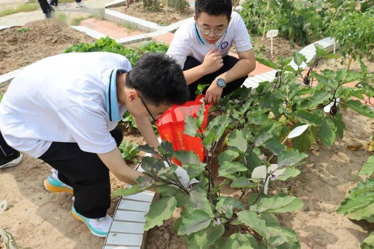 我省地质实验科技硕果累累 互联通信 我省地质实验科技硕果累累 我省地质实验科技硕果累累 互联通信