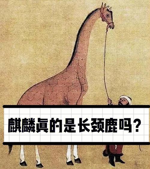 mro工业品采购平台别人都是羊只有你是长颈鹿。 智能科技 mro工业品采购平台别人都是羊只有你是长颈鹿。 mro工业品采购平台别人都是羊只有你是长颈鹿。 智能科技