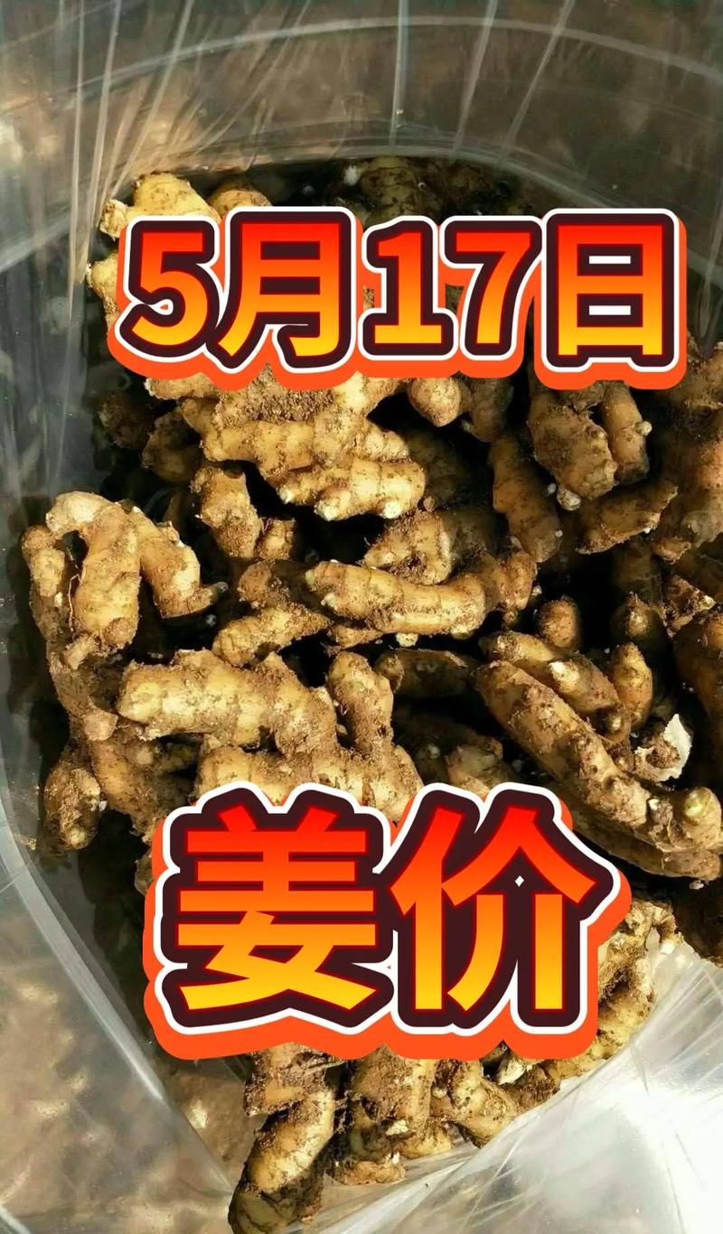每吨1800到1万多美元济南生姜出口产品链赓续延伸 智能科技 每吨1800到1万多美元济南生姜出口产品链赓续延伸 每吨1800到1万多美元济南生姜出口产品链赓续延伸 智能科技