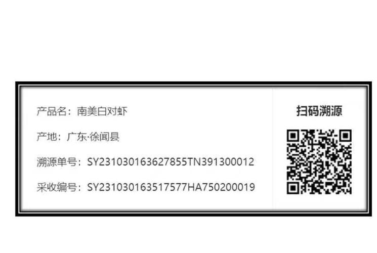 码上溯源湛江南美对虾京东恒兴打通从养殖到餐桌数字化链路 智能科技 码上溯源湛江南美对虾京东恒兴打通从养殖到餐桌数字化链路 码上溯源湛江南美对虾京东恒兴打通从养殖到餐桌数字化链路 智能科技