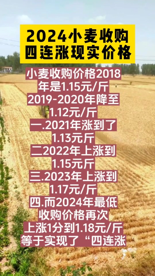 每斤1.15元!今天起徐州启动小麦最低收购价实行预案! 互联通信 每斤1.15元!今天起徐州启动小麦最低收购价实行预案! 每斤1.15元!今天起徐州启动小麦最低收购价实行预案! 互联通信