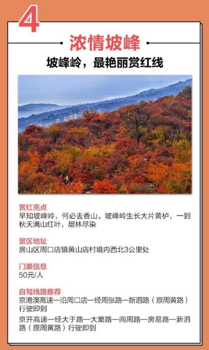 寻秋北京:10条最值得打卡的北京赏红叶线路 智能科技 寻秋北京:10条最值得打卡的北京赏红叶线路 寻秋北京:10条最值得打卡的北京赏红叶线路 智能科技