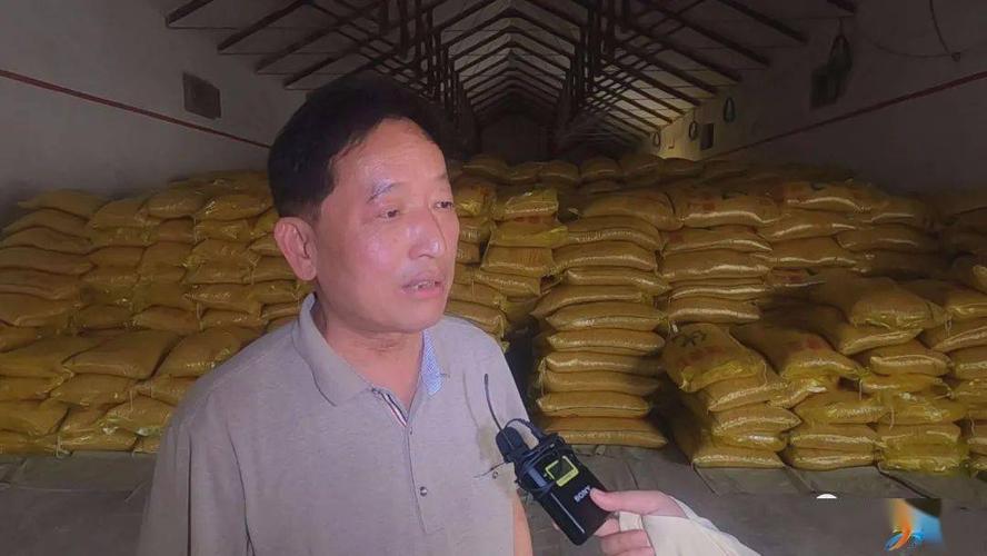 江夏物资供应情况优胜 人工智能 江夏物资供应情况优胜 江夏物资供应情况优胜 人工智能
