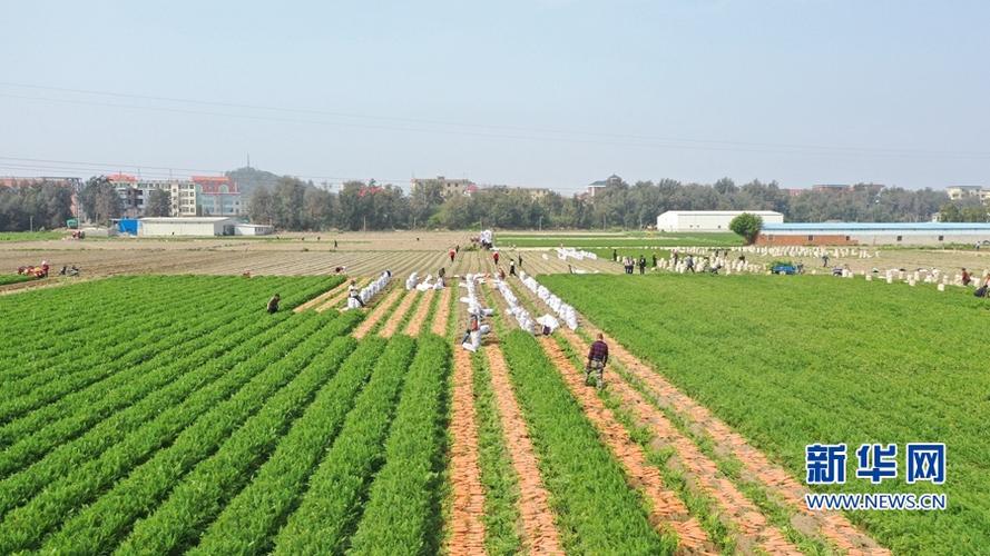 中国最大年夜乳胶家当基地落户山西左权 年产值可达40亿元 智能科技 中国最大年夜乳胶家当基地落户山西左权 年产值可达40亿元 中国最大年夜乳胶家当基地落户山西左权 年产值可达40亿元 智能科技