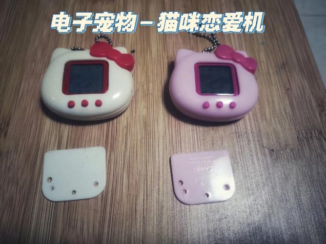 操作电子宠物猫赚钱的创业项目实操方法和步骤 智能科技 操作电子宠物猫赚钱的创业项目实操方法和步骤 操作电子宠物猫赚钱的创业项目实操方法和步骤 智能科技