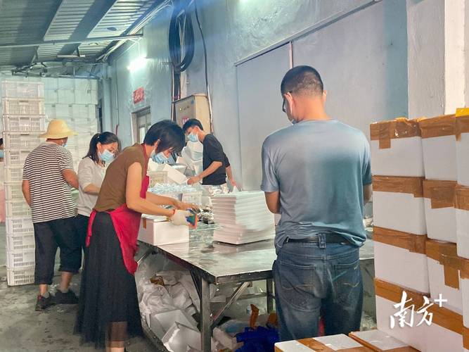 汕头龙湖:“双十一”订单热村落家当搭上电商“快车” 智能家居 汕头龙湖:“双十一”订单热村落家当搭上电商“快车” 汕头龙湖:“双十一”订单热村落家当搭上电商“快车” 智能家居
