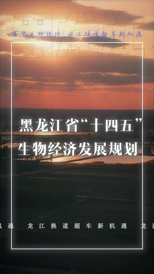 发力“四大年夜家当”黑龙江“换道超车”有了新“引擎” 智能家居 发力“四大年夜家当”黑龙江“换道超车”有了新“引擎” 发力“四大年夜家当”黑龙江“换道超车”有了新“引擎” 智能家居