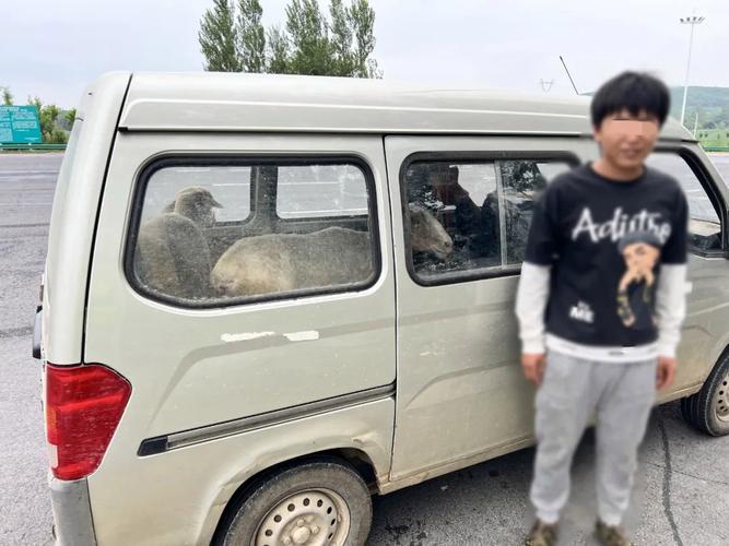 曝光|违法未处理的农村面包车等类型车辆(第八期) 互联通信 曝光|违法未处理的农村面包车等类型车辆(第八期) 曝光|违法未处理的农村面包车等类型车辆(第八期) 互联通信