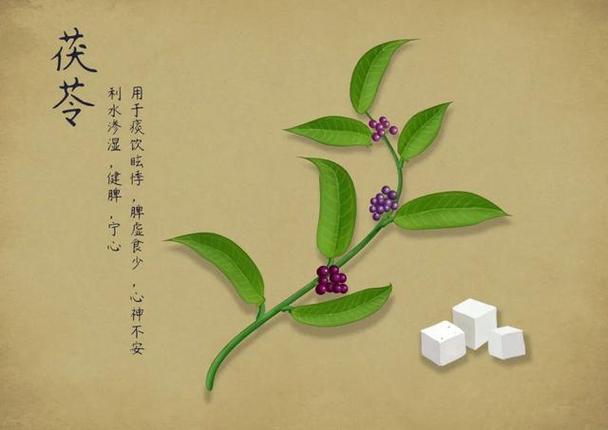 夏季光降前你一定要知道它流传百年的除湿好物!除水肿、治失落眠都有效! 智能家居 夏季光降前你一定要知道它流传百年的除湿好物!除水肿、治失落眠都有效! 夏季光降前你一定要知道它流传百年的除湿好物!除水肿、治失落眠都有效! 智能家居