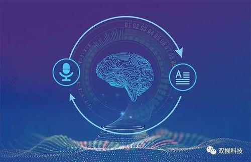 双猴科技:勇当科创教诲领跑者 互联通信 双猴科技:勇当科创教诲领跑者 双猴科技:勇当科创教诲领跑者 互联通信
