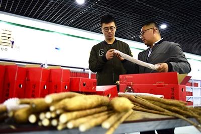 磴口:电商为特色家当插上“同党” 人工智能 磴口:电商为特色家当插上“同党” 磴口:电商为特色家当插上“同党” 人工智能