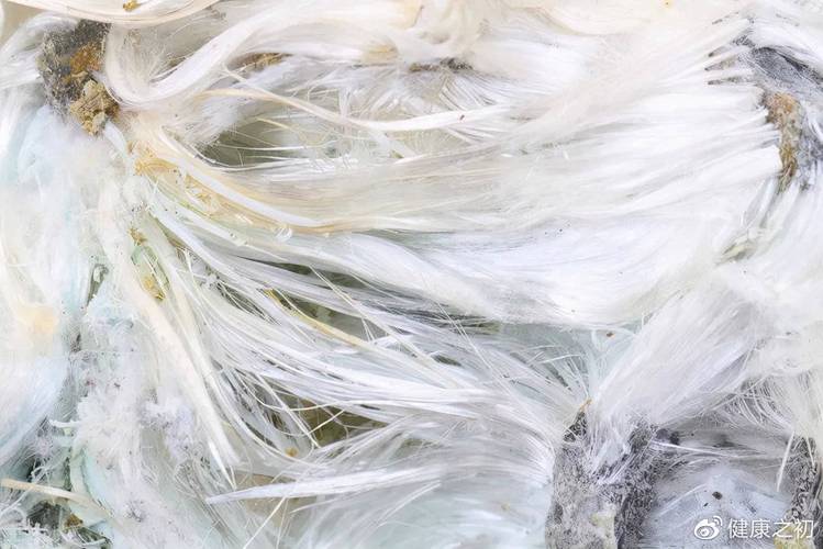 石棉致癌却几乎每家每户都有潜伏期达40年!几类物品要当心 互联通信 石棉致癌却几乎每家每户都有潜伏期达40年!几类物品要当心 石棉致癌却几乎每家每户都有潜伏期达40年!几类物品要当心 互联通信
