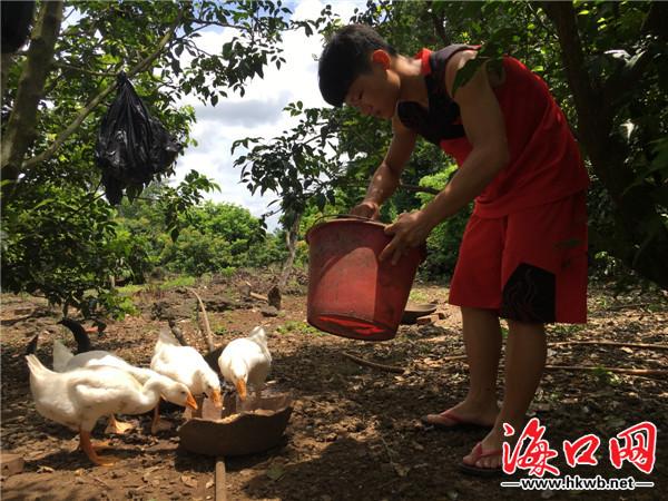 是否滞销?消费电子营业库存增近11%康佳收年报问询函 人工智能 是否滞销?消费电子营业库存增近11%康佳收年报问询函 是否滞销?消费电子营业库存增近11%康佳收年报问询函 人工智能