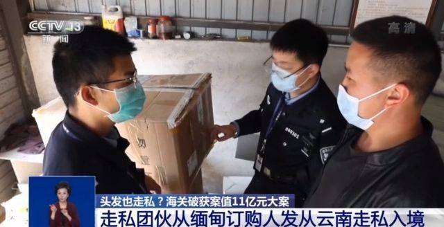 头发也走私?海关破获案值11亿元人发走私大年夜案 互联通信 头发也走私?海关破获案值11亿元人发走私大年夜案 头发也走私?海关破获案值11亿元人发走私大年夜案 互联通信
