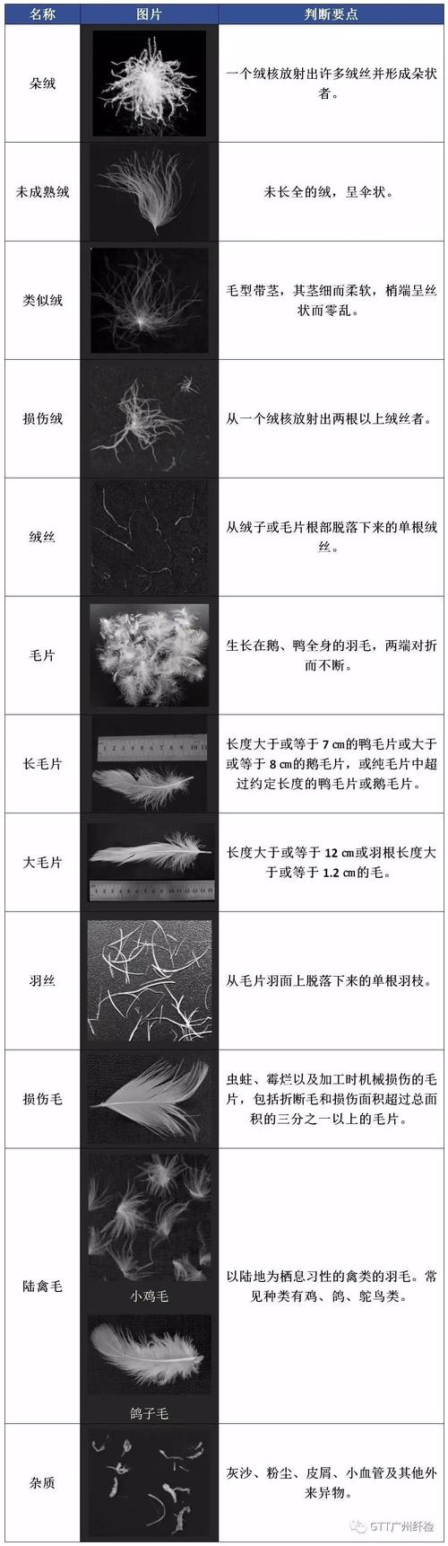 “植绒”的基本常识 互联通信 “植绒”的基本常识 “植绒”的基本常识 互联通信