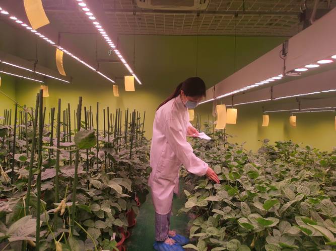 科技·深一度 | 连续三年全国第一!江苏洒下科创种子孕育一片“森林” 智能科技 科技·深一度 | 连续三年全国第一!江苏洒下科创种子孕育一片“森林” 科技·深一度 | 连续三年全国第一!江苏洒下科创种子孕育一片“森林” 智能科技