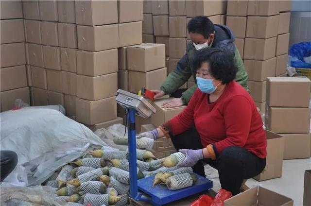4天卖完!安阳老农4万斤萝卜滞销 电商平台来协助 智能家居 4天卖完!安阳老农4万斤萝卜滞销 电商平台来协助 4天卖完!安阳老农4万斤萝卜滞销 电商平台来协助 智能家居