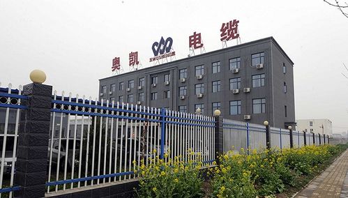 奥凯公司若何中标“西安最美地铁”:投产才两月就成供应商 智能科技 奥凯公司若何中标“西安最美地铁”:投产才两月就成供应商 奥凯公司若何中标“西安最美地铁”:投产才两月就成供应商 智能科技